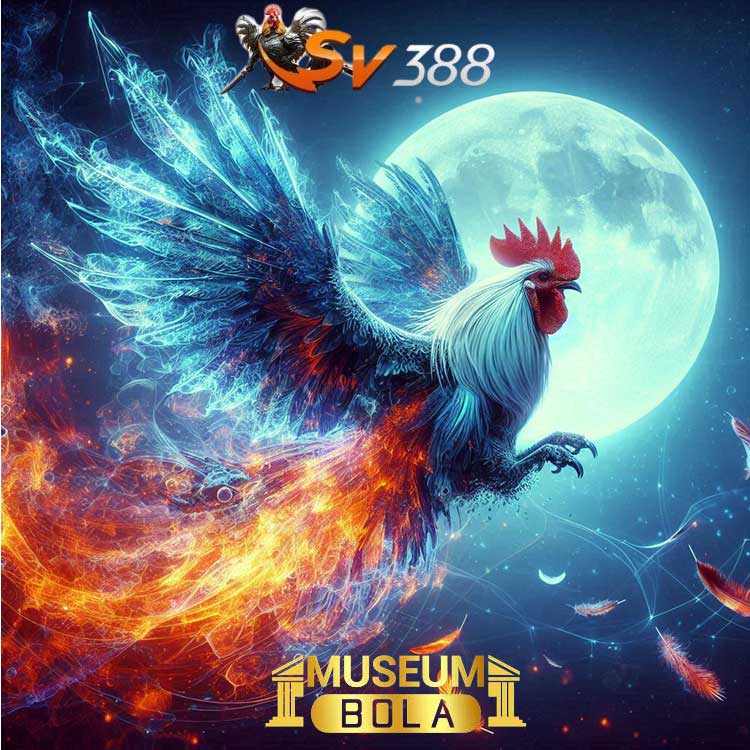 Sabung Ayam Sv388: Keunggulan Museumbola yang Wajib Tahu